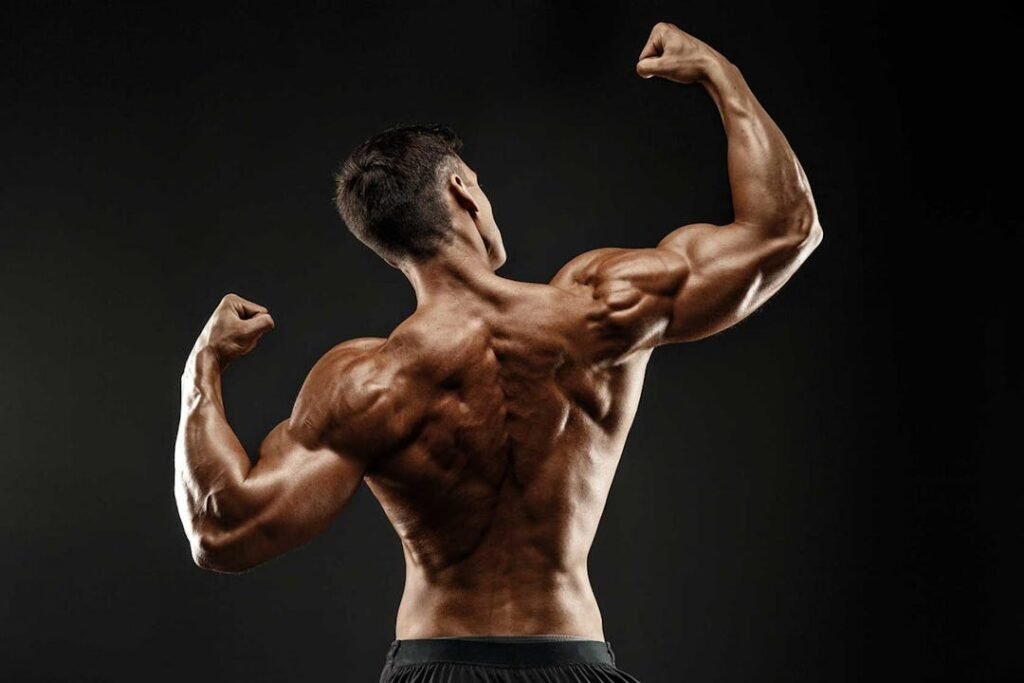 bodybuilder